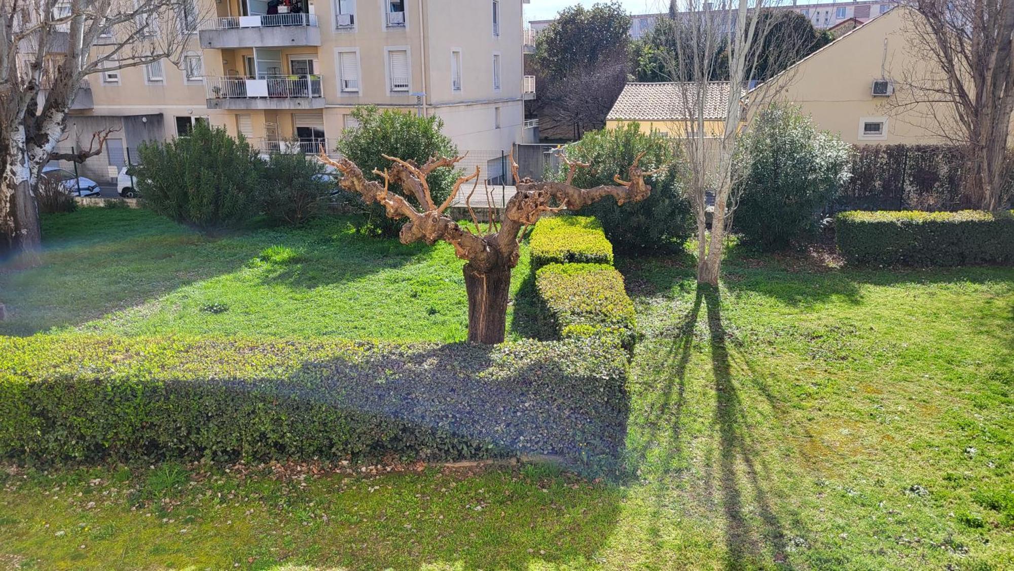 Les Tourterelles D'Avignon 2 Apartment Exterior foto